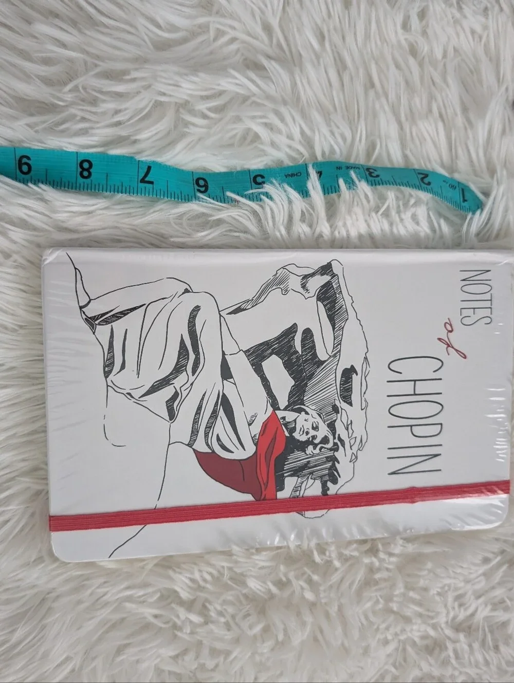 NEW Notes Of Chopin Poland Notebook Approx 9